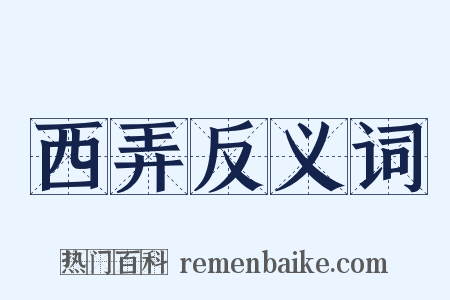 西弄反义词是什么意思的图片